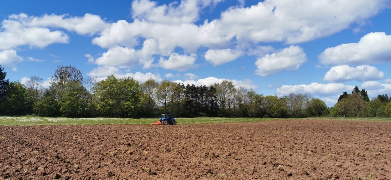 The Farmland Bird Ark surviving the hunger gap a Environment