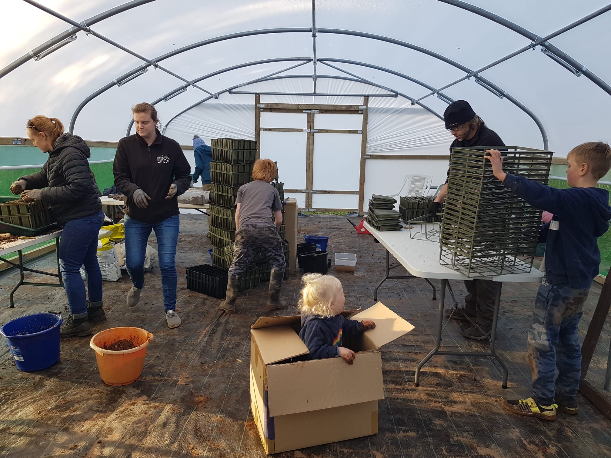 Sherwood Forest Community Tree Nursery Phase 2 a Community
