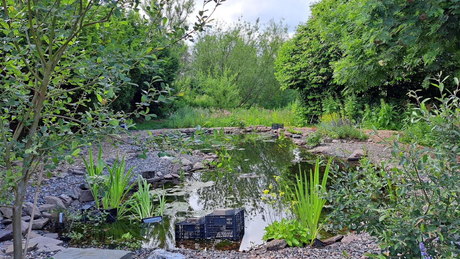 Dig In at the Walled Garden!