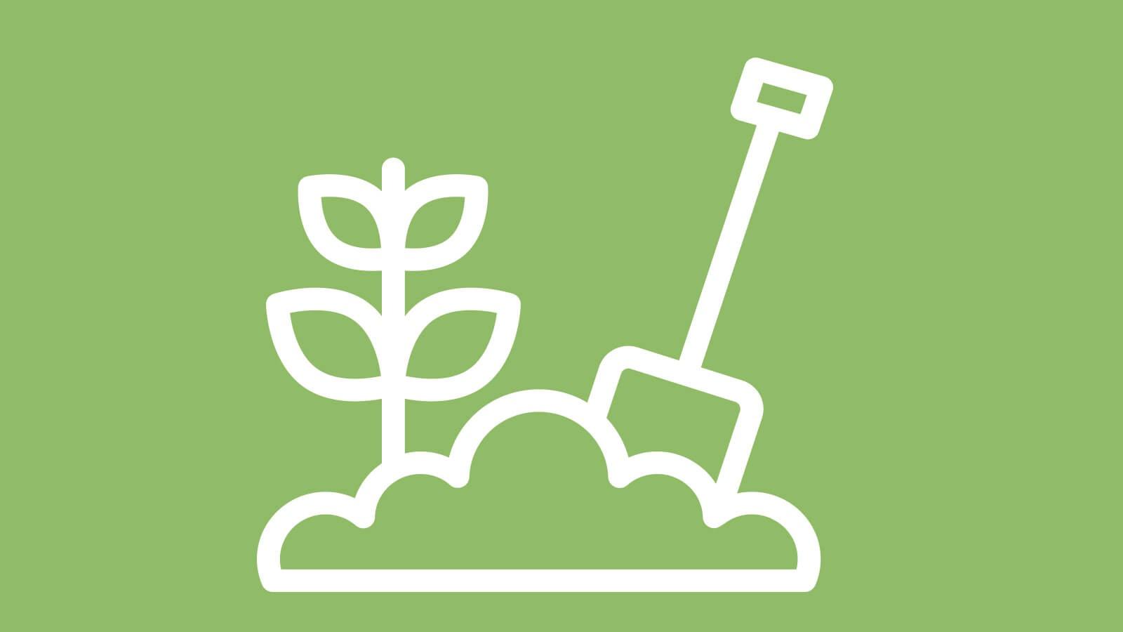 Volunteer at North Street Gardens