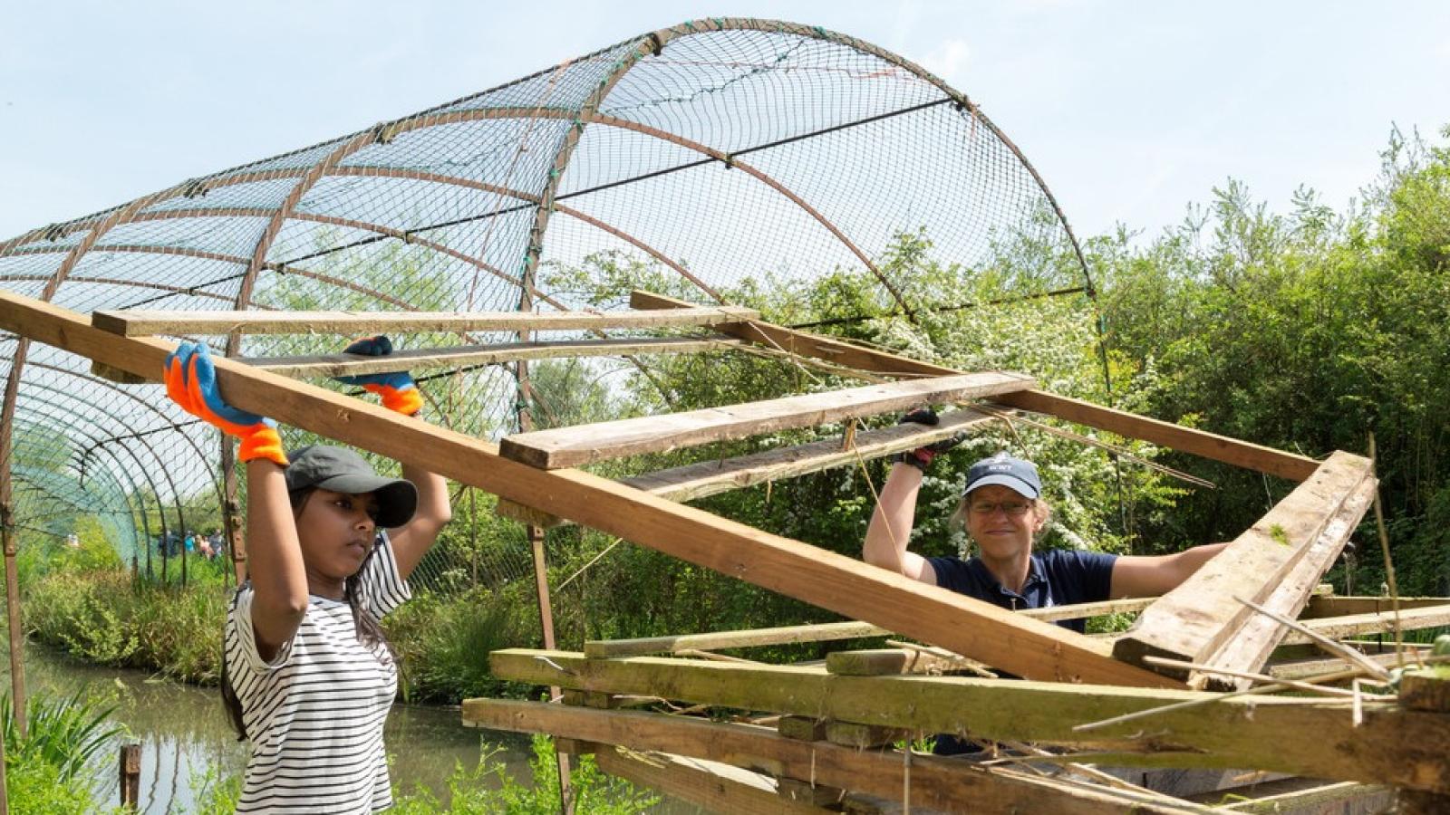 WWT Slimbridge Volunteering October