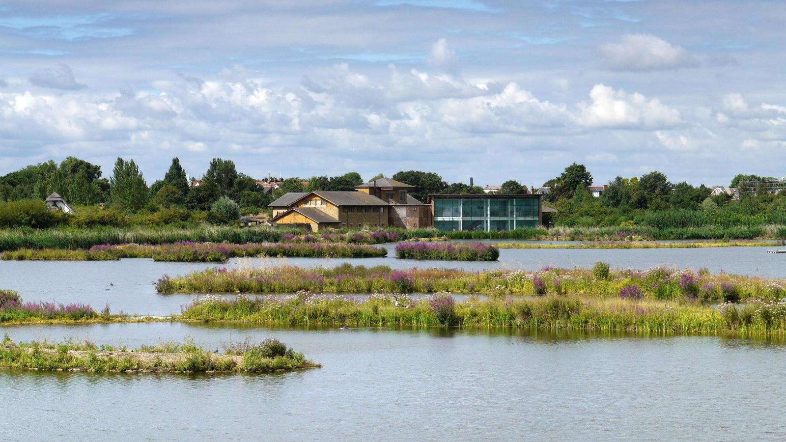 WWT London Volunteering - October