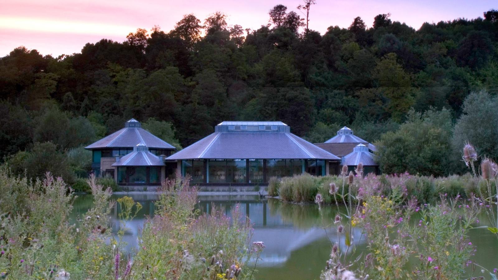 WWT Arundel Volunteering - October