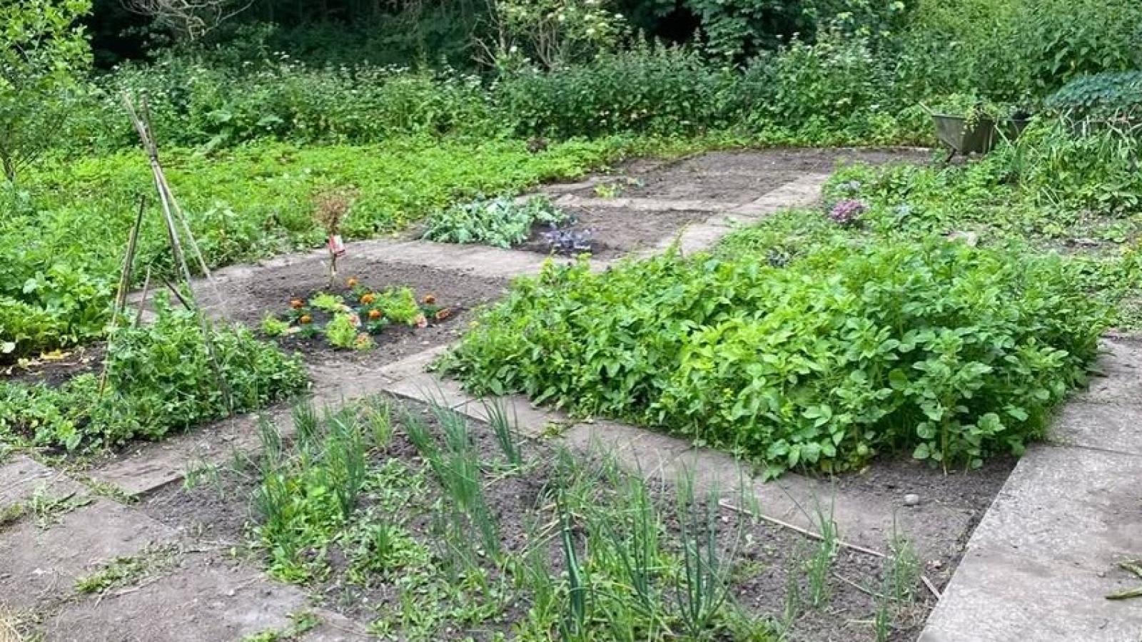 Time in the garden