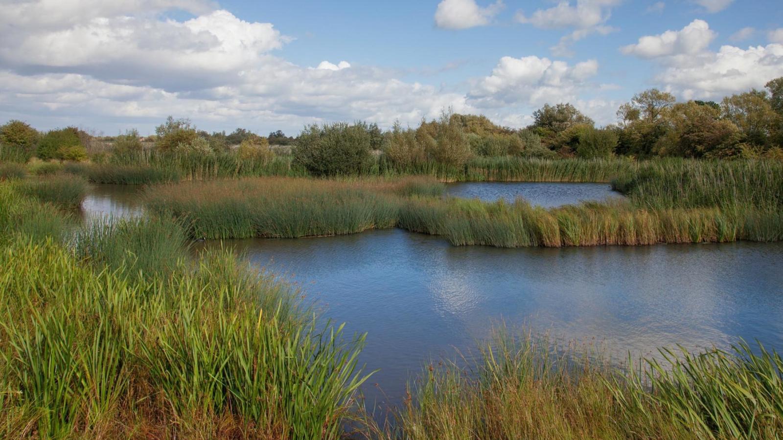 WWT Slimbridge Volunteering September