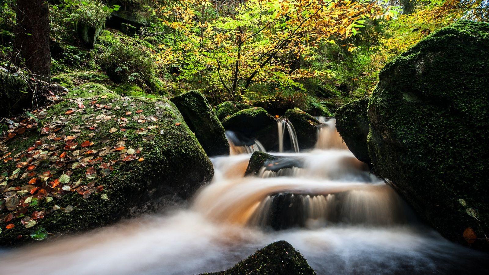 Wyming Brook: Balsam Bashing